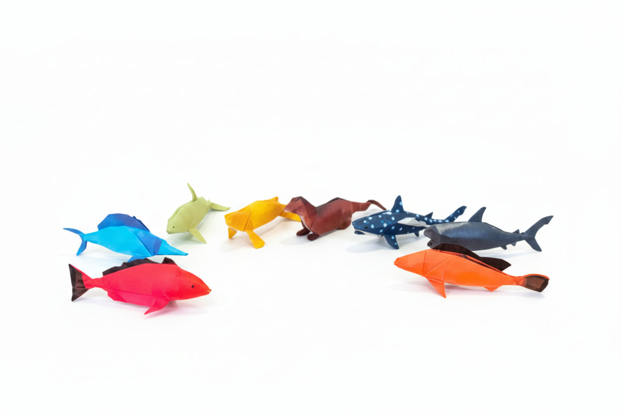 წყლის ცხოველების ნაკრები