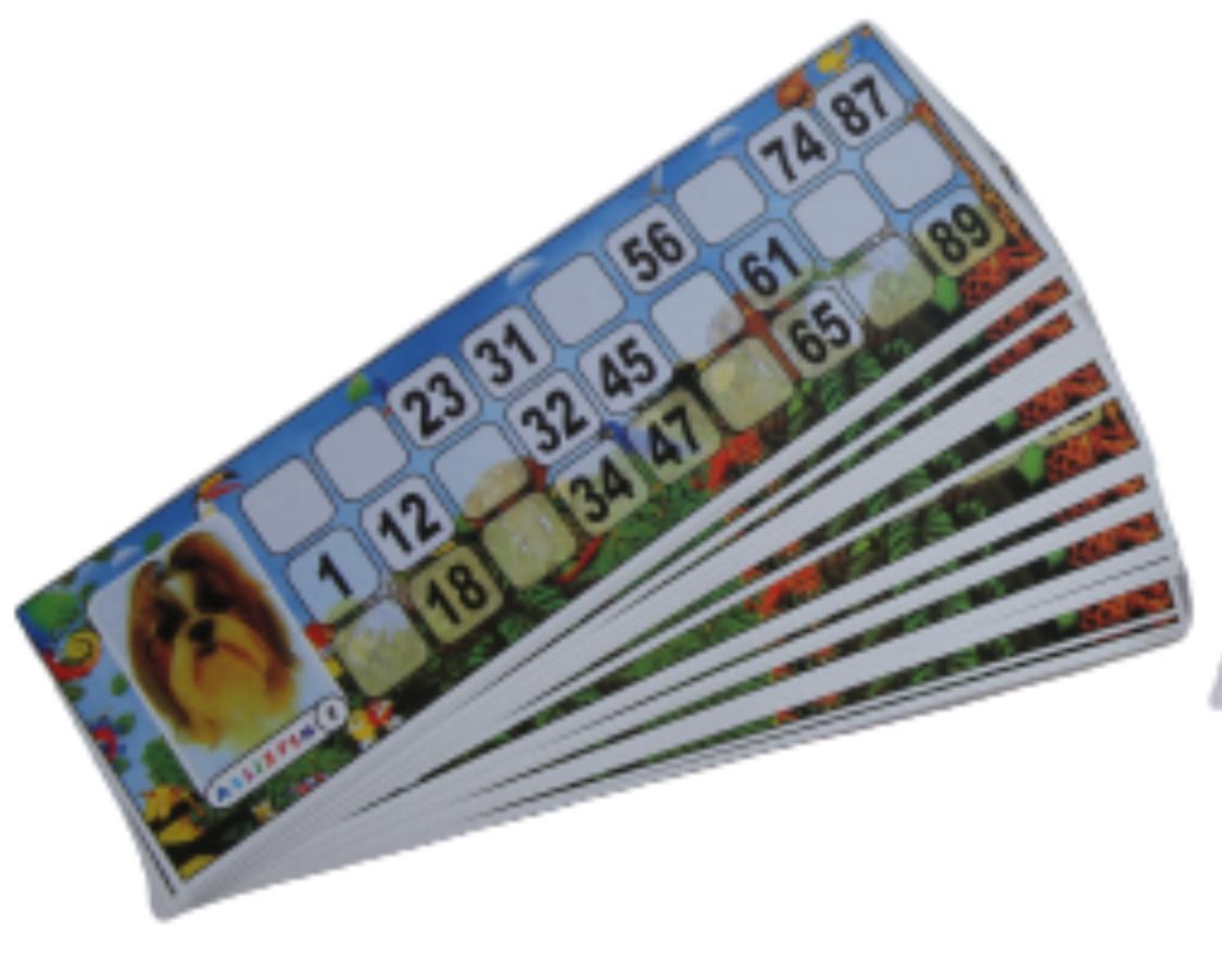 Board game - Lotto