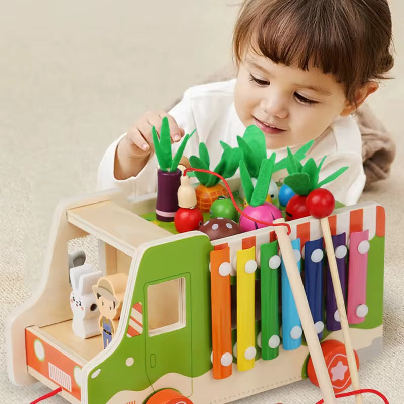 ხილისა და ბოსტნეულის ხის სათამაშო