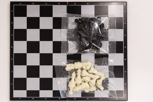 პლასტიკური ჭადრაკი